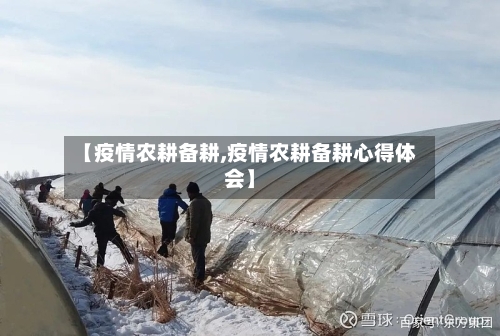 【疫情农耕备耕,疫情农耕备耕心得体会】-第2张图片