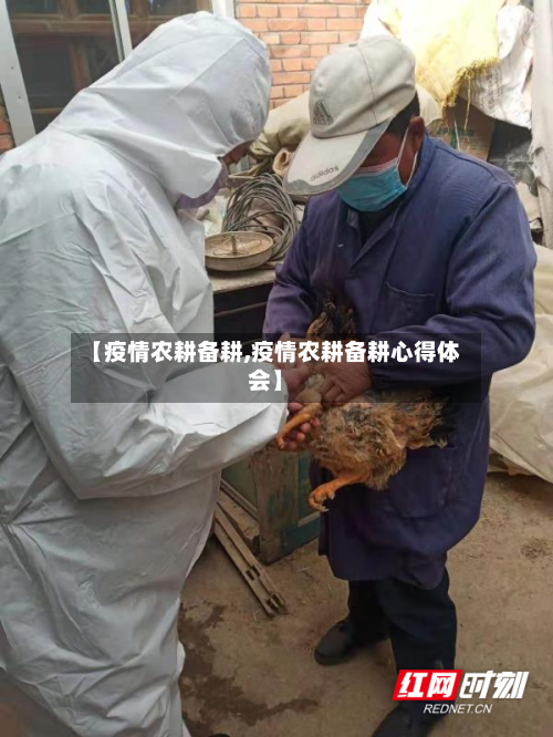 【疫情农耕备耕,疫情农耕备耕心得体会】-第3张图片