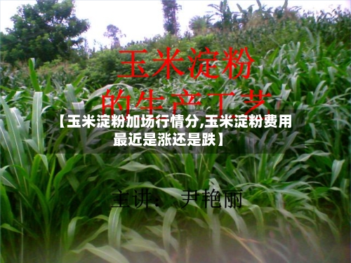 【玉米淀粉加场行情分,玉米淀粉费用最近是涨还是跌】
