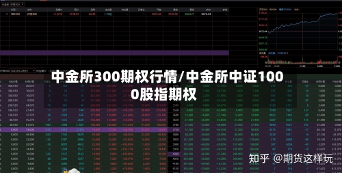 中金所300期权行情/中金所中证1000股指期权-第2张图片