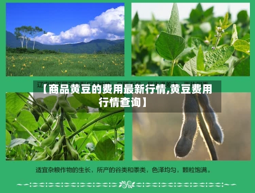 【商品黄豆的费用最新行情,黄豆费用行情查询】-第3张图片