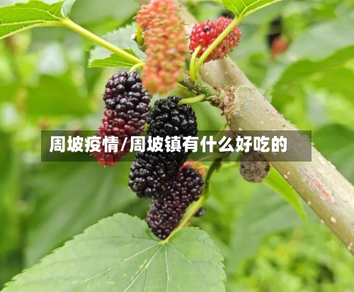 周坡疫情/周坡镇有什么好吃的