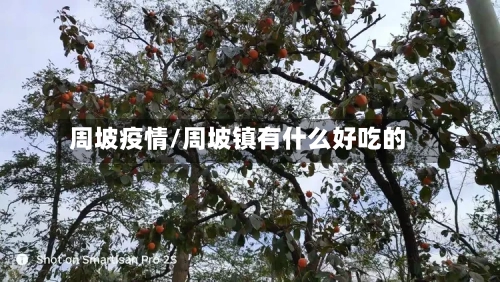 周坡疫情/周坡镇有什么好吃的-第3张图片