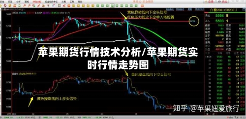 苹果期货行情技术分析/苹果期货实时行情走势图-第2张图片