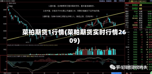 菜柏期货1行情(菜粕期货实时行情2609)-第2张图片