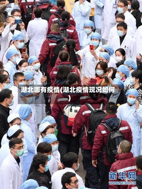 湖北哪有疫情(湖北疫情现况如何)-第3张图片