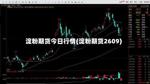 淀粉期货今日行情(淀粉期货2609)-第2张图片