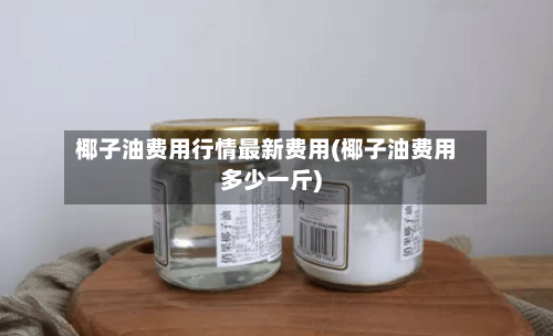 椰子油费用行情最新费用(椰子油费用多少一斤)