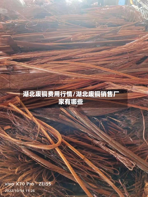 湖北废铜费用行情/湖北废铜销售厂家有哪些