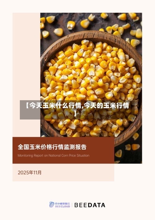 【今天玉米什么行情,今天的玉米行情】