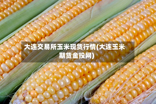 大连交易所玉米现货行情(大连玉米期货金投网)-第2张图片