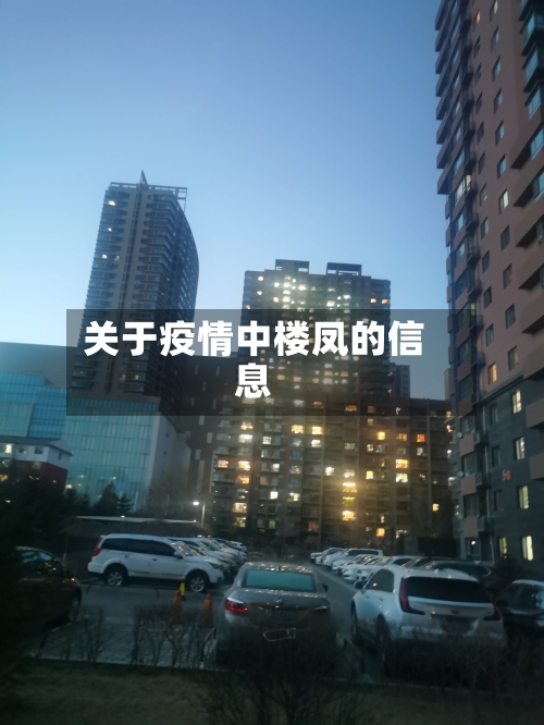 关于疫情中楼凤的信息-第2张图片