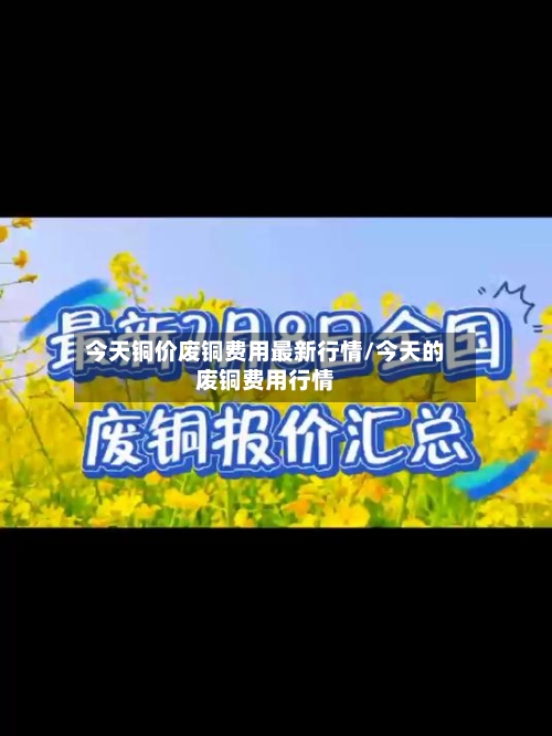 今天铜价废铜费用最新行情/今天的废铜费用行情