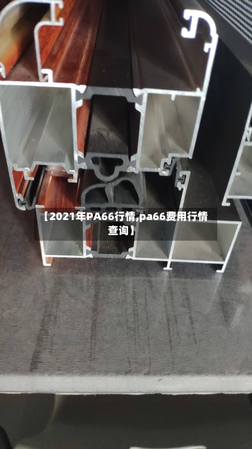 【2021年PA66行情,pa66费用行情查询】