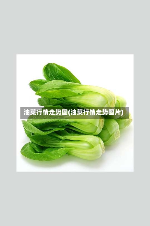 油菜行情走势图(油菜行情走势图片)