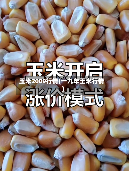 玉米2009行情(一九年玉米行情)