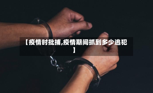 【疫情时批捕,疫情期间抓到多少逃犯】-第2张图片