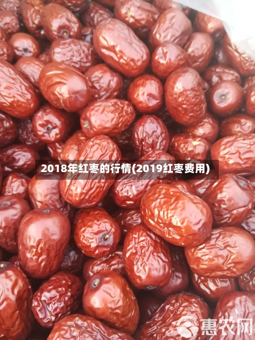 2018年红枣的行情(2019红枣费用)