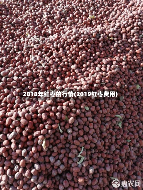 2018年红枣的行情(2019红枣费用)-第2张图片
