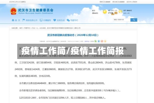 疫情工作简/疫情工作简报-第3张图片