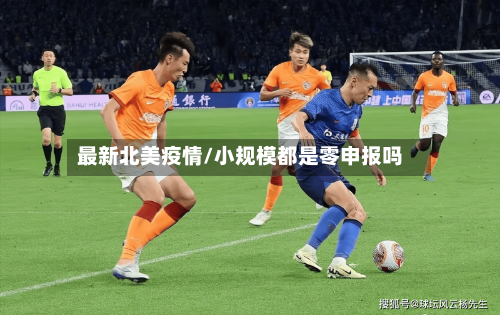 最新北美疫情/小规模都是零申报吗