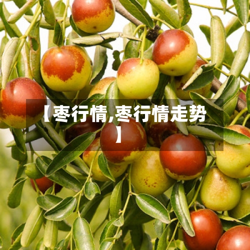 【枣行情,枣行情走势】-第2张图片