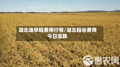 湖北油早稻费用行情/湖北稻谷费用今日涨跌