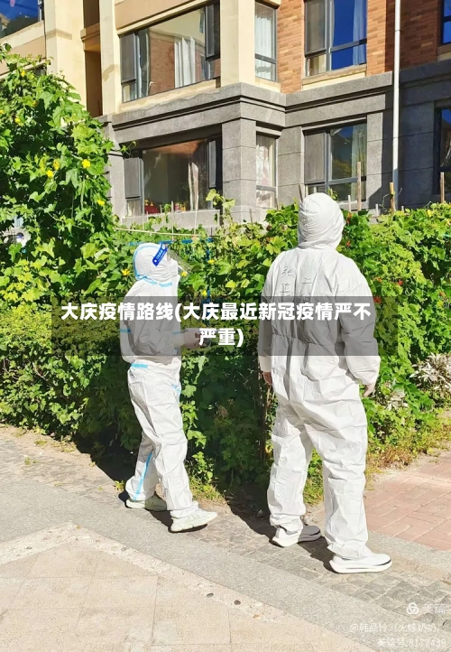 大庆疫情路线(大庆最近新冠疫情严不严重)-第2张图片