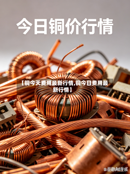 【铜今天费用最新行情,铜今日费用最新行情】-第3张图片