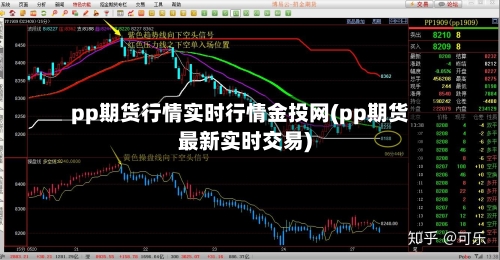 pp期货行情实时行情金投网(pp期货最新实时交易)-第2张图片