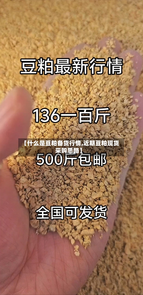 【什么是豆粕备货行情,近期豆粕现货采购思路】