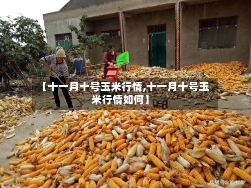 【十一月十号玉米行情,十一月十号玉米行情如何】-第2张图片
