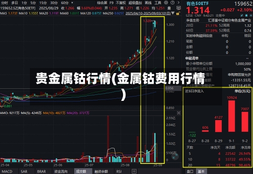 贵金属钴行情(金属钴费用行情)