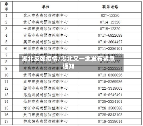 湖北反弹疫情/湖北又一地发布紧急通知-第2张图片