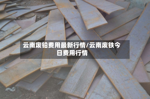 云南废铅费用最新行情/云南废铁今日费用行情-第3张图片