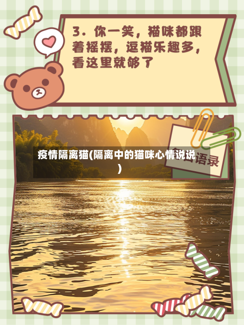 疫情隔离猫(隔离中的猫咪心情说说)