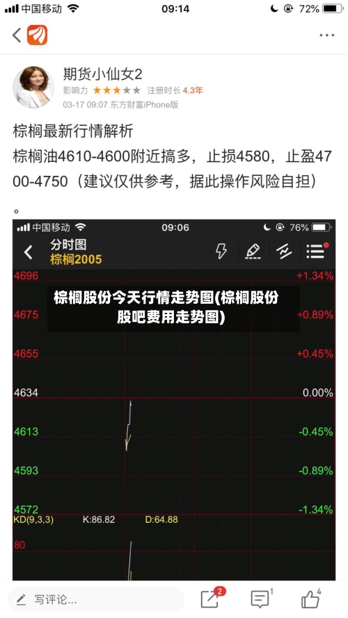 棕榈股份今天行情走势图(棕榈股份股吧费用走势图)