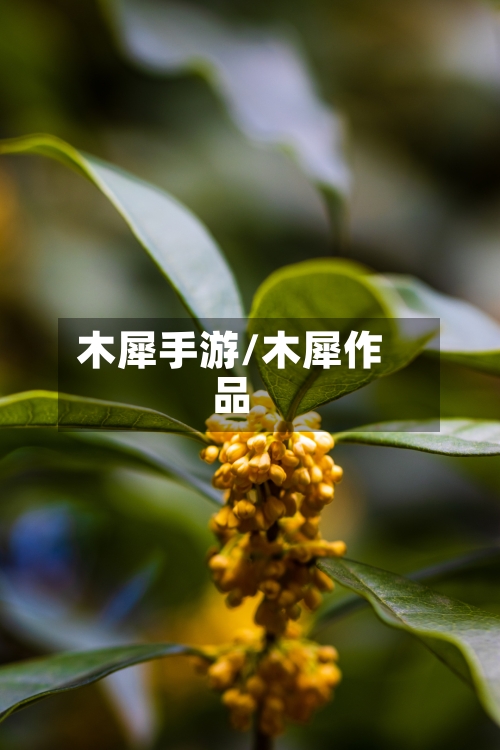 木犀手游/木犀作品-第3张图片