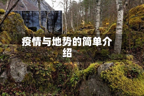 疫情与地势的简单介绍