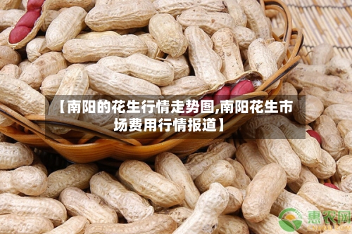 【南阳的花生行情走势图,南阳花生市场费用行情报道】-第3张图片