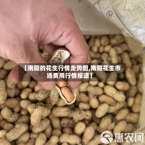 【南阳的花生行情走势图,南阳花生市场费用行情报道】-第2张图片