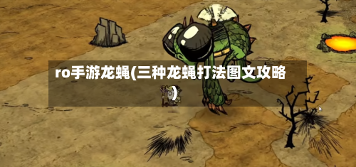 ro手游龙蝇(三种龙蝇打法图文攻略)-第3张图片
