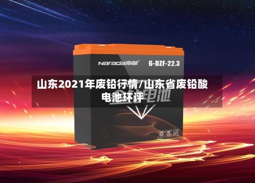 山东2021年废铅行情/山东省废铅酸电池环评