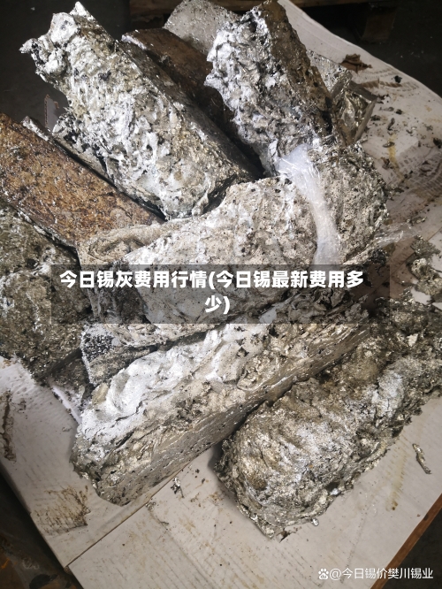 今日锡灰费用行情(今日锡最新费用多少)-第2张图片