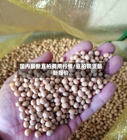 国内最新豆柏费用行情/豆柏现货最新报价-第3张图片