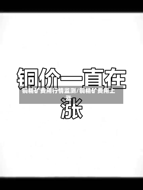 铜精矿费用行情监测/铜精矿费用上涨-第2张图片