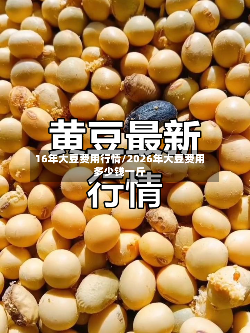 16年大豆费用行情/2026年大豆费用多少钱一斤-第2张图片