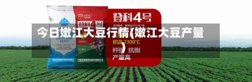 今日嫩江大豆行情(嫩江大豆产量)-第2张图片
