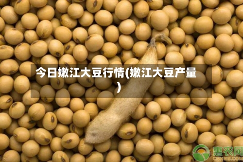 今日嫩江大豆行情(嫩江大豆产量)-第3张图片