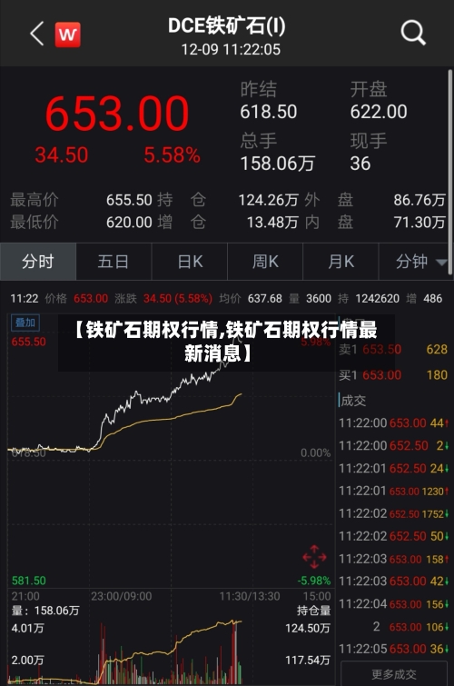 【铁矿石期权行情,铁矿石期权行情最新消息】-第2张图片